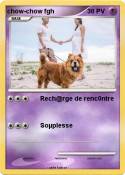 chow-chow fgh