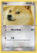 Doge