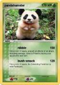 pandahamster