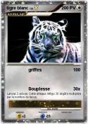 tigre blanc