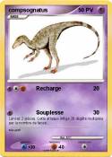 compsognatus