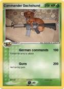 Commander Dachs