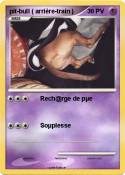 pit-bull (