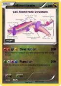 cell membrane