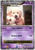Le chien mignon