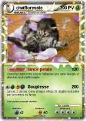 chatfloresste