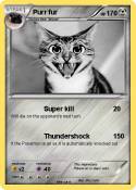 Purr fur