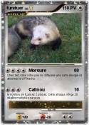 furetuer