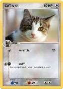 CAT lv 41