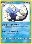 Aguanot