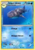 Requin balaine