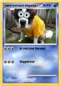 saint-bernard