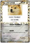 LOST DOGE