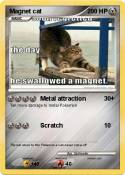 Magnet cat