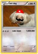 miri dog