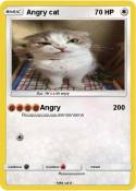 Angry cat