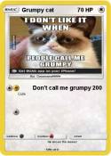Grumpy cat