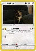 Cute cat