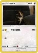 Cute cat