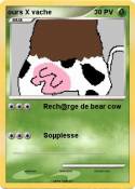 ours X vache