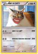 AM I A CAT?