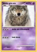 westie gris