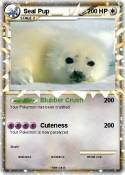 Seal Pup