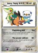 Snivy, Tepig,