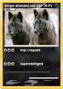 berger allemand
