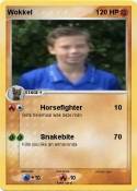 Wokkel