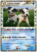 2 jacks russels