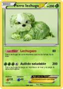 Perro lechuga