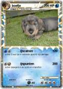 boefje