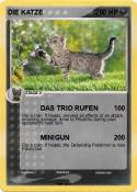 DIE KATZE