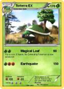Torterra EX