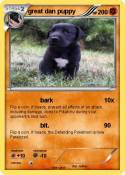 great dan puppy