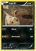 Dogs EX