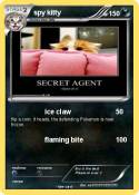 spy kitty