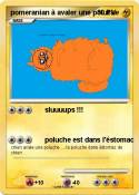 pomeranian à