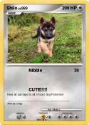 Shilo