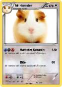 Mr Hamster