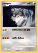 loup gris