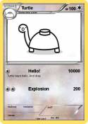 Turtle