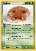 The kitten