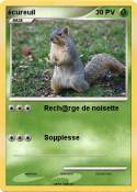 écureuil