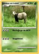 mouton en