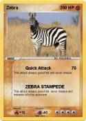 Zebra