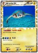 M turtle EX