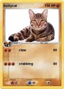 luckycat
