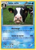 lucas vache